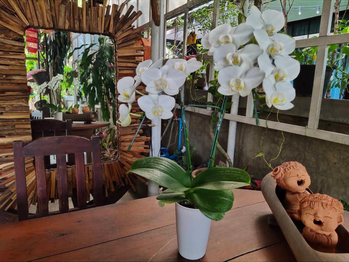 Aunt & Uncle'S House Bed & Breakfast Chiang Mai Exterior photo